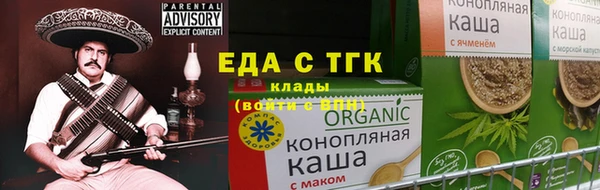 индика Инсар