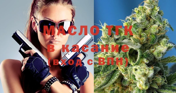 индика Инсар