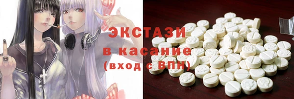 индика Инсар