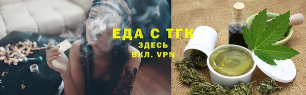 индика Инсар