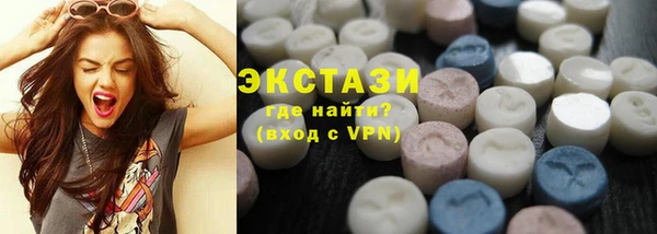 индика Инсар