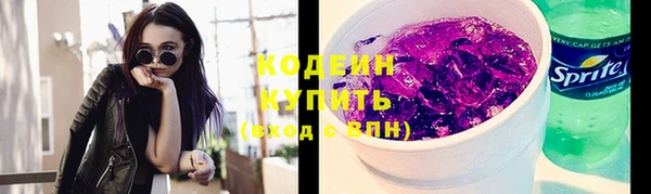индика Инсар