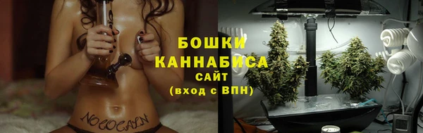 apvp Инта