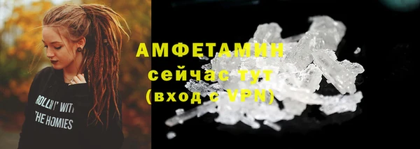 индика Инсар