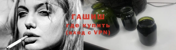 индика Инсар