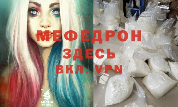 индика Инсар