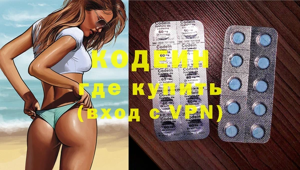 индика Инсар