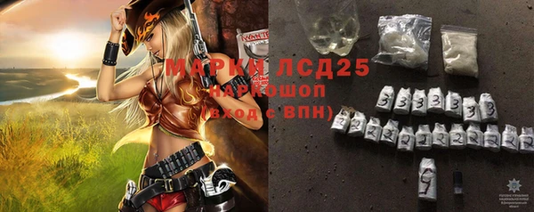 индика Инсар