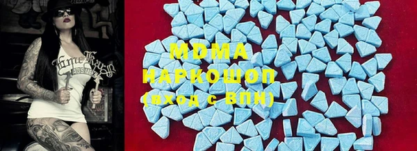 индика Инсар