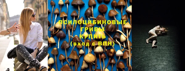 apvp Инта