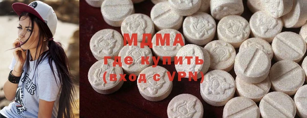 индика Инсар