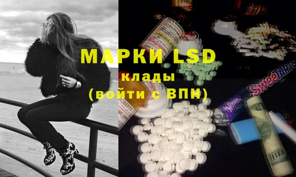 apvp Инта