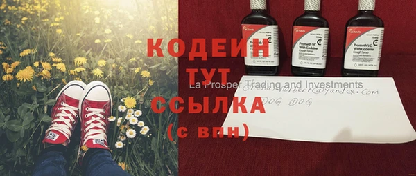 индика Инсар