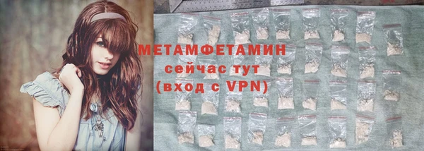 индика Инсар