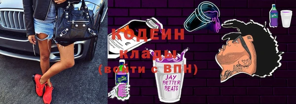 индика Инсар