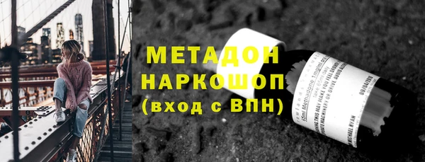 индика Инсар