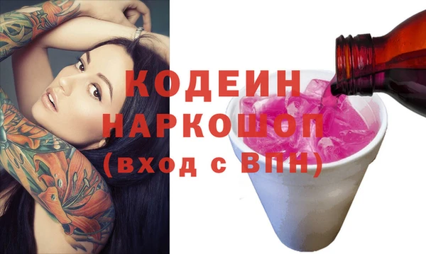индика Инсар