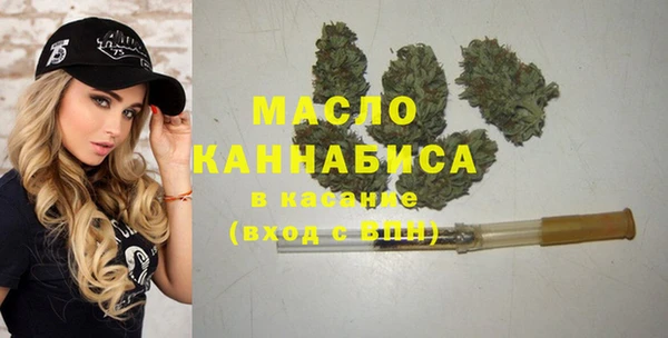 индика Инсар