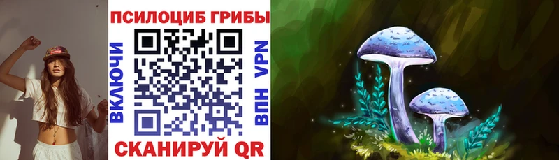 Псилоцибиновые грибы мухоморы  купить  цена  Волгоград 