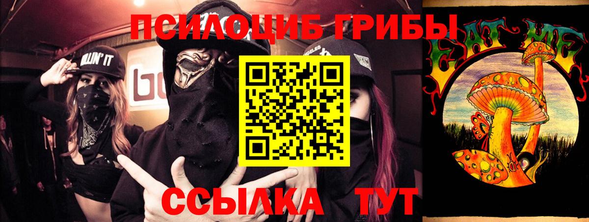 Псилоцибиновые грибы прущие грибы Волгоград