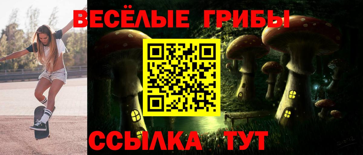 Галлюциногенные грибы MAGIC MUSHROOMS Волгоград