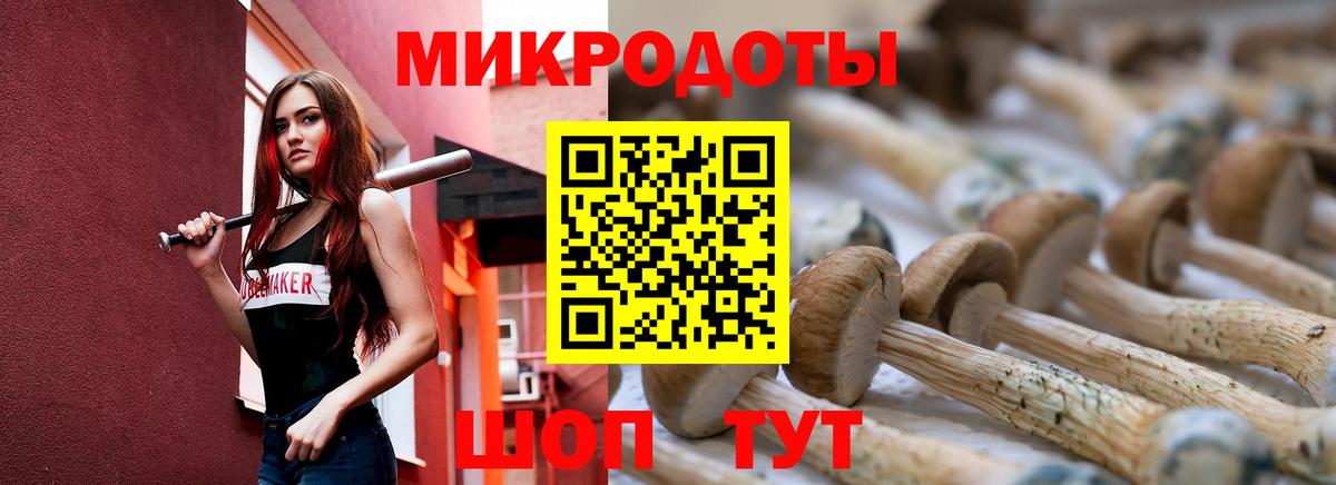 Галлюциногенные грибы Psilocybe Волгоград