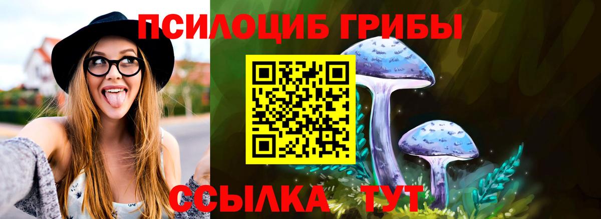 Волгоград  Псилоцибиновые грибы мицелий  Псилоцибиновые грибы прущие грибы  Вход с VPN 