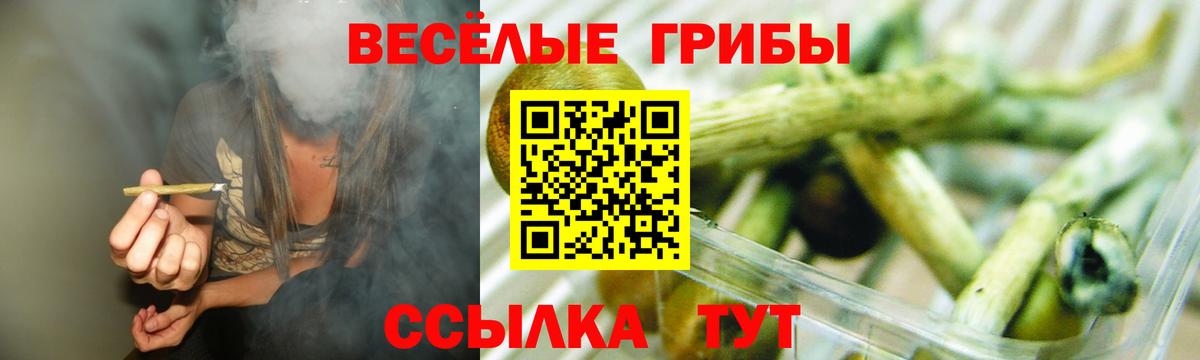 Волгоград  Псилоцибиновые грибы ЛСД  Вход с VPN  Галлюциногенные грибы Cubensis 