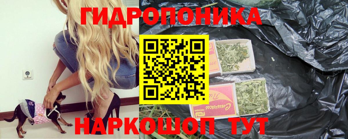 Марихуана сатива  Волгоград  Каннабис MAZAR  Бошки Шишки LSD WEED 