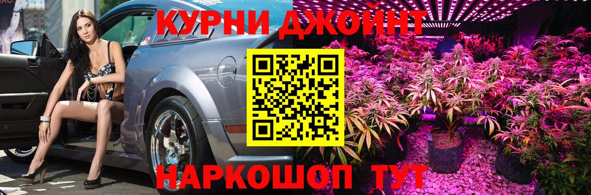 Бошки Шишки план Волгоград